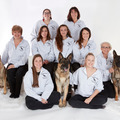 Champion Kennels - Pet Boarding Care - Sterling, MA