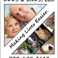 Odds & Ends In Home Pet Sitting  - Cartersville, GA