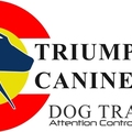 Triumphant Canine - Private Dog Training  - Centennial, CO