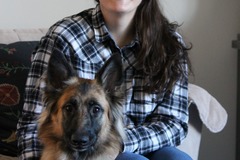 Request Quote: Consistent Canine Dog Training  - Frederick, MD