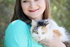 Request Quote: Professional Cat Behavior Consultant - Nationwide