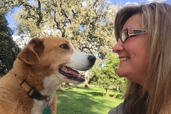 Request Quote: Lucky to be at Home Pet Care - Kyle, TX