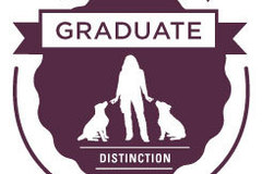 Request Quote: My Pet Nanny Pet Sitting Care - Tampa, FL