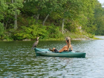 A Cormorant visited me several times during the Summer of 2015, while I was  meditating in a kayak. 