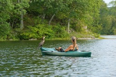 Request Quote: Animal Reiki Sessions with Gabi  - Nationwide