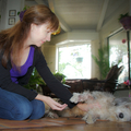 Animal Reiki Source - Nationwide
