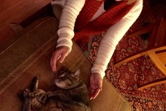 Request Quote: Earth Wisdom Healing - Animal Reiki Care  - Nationwide