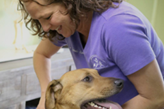 Request Quote: Active Life Chiropractic - Pet Chiropractic Care - Kennesaw, GA