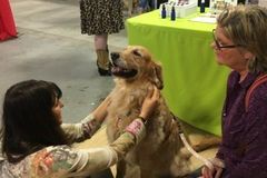 Request Quote: Reiki for all Creatures - Animal Reiki Care  - Nationwide
