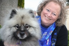 Request Quote: Animal Communication and Reiki- World Wide - Westport, CT