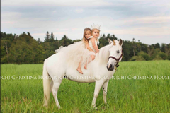 Request Quote: Portrait Session For Your Pet - Pet Photography - Burlington, CT