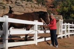 Request Quote: Animal Reiki - Specializing in Equine Reiki  - Nationwide
