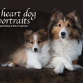 Heart Dog Portrait Photography - The Woodlands, TX