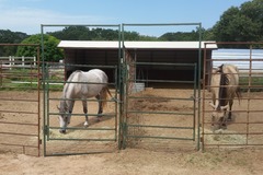 Request Quote: Silver Jag Ranch - Horse Boarding - Stephenville, TX