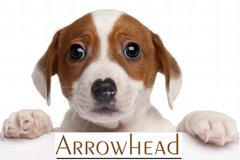 Request Quote: Arrowhead Pooper Scoopers - Pet Waste Removal Services - Peoria, AZ