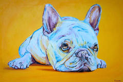 Request Quote: Debbie Sampson Pet Portrait Artist - Kissimmee, FL