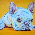 Debbie Sampson Pet Portrait Artist - Kissimmee, FL