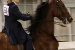 Request Quote: Sunday Stables Horse Boarding  - St Albans, WV