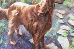 Request Quote: Handmade Oil Portraits - Pet Portrait Artist - Nationwide