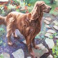 Handmade Oil Portraits - Pet Portrait Artist - Nationwide