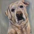 EH Griffith Studios - Pet Portrait Artist  - Nationwide