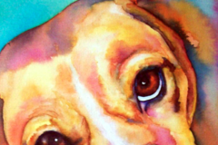 Request Quote: Springfield Illinois - Watercolor Pet Portrait Paintings - Nationwide