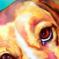 Springfield Illinois - Watercolor Pet Portrait Paintings - Nationwide