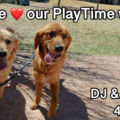 PlayTime In Home Pet Sitters and Dog Walking - Colorado Springs, CO