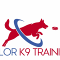 Valor K9 Training - Dog Training Services - Chuluota, FL