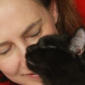Vicki Draper - Animal Reiki and Pet Wellness Care - Redmond, WA