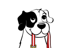 Request Quote: This Lil' Dog of Mine - In Home Pet Sitting Services - Austin, TX