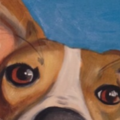 Painted Pet Portrait Art by Natalia Zukerman - Nationwide