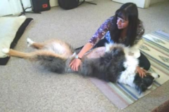 Request Quote: Wellness for all Creatures - Animal Massage Therapy - Carlsbad, CA