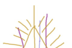 Request Quote: Multidimensional Long Distance Healing - Animal Reiki Care - Nationwide