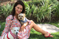 Request Quote: KelliKendalReiki - Animal Reiki Care  - Windsor Hills, CA