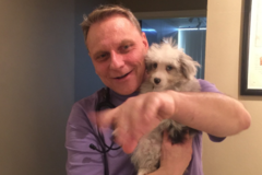 Request Quote: Dr. Ron Blaha - AVCA Animal Chiropractor - Dallas, TX