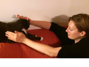 Reiki with Cats