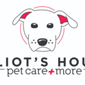 Elliot's House - Dog Daycare Full Day - Somerville, MA