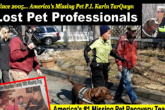 Request Quote: Private Investigator Karin TarQwyn - Lost Pet Recovery - Nationwide