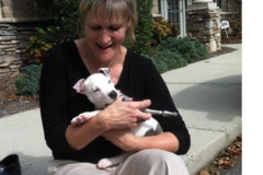 Request Quote: Dr. Kathleen Nazar Animal Chiropractor - Greensboro, NC
