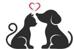 Request Quote: Your Helping Paws - In Home Pet Sitting and Pet Care  - Round Rock, TX