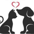 Your Helping Paws - In Home Pet Sitting and Pet Care  - Round Rock, TX
