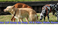 Request Quote: Scoop Up Poop, Orange County Pooper Scooper - Orange, CA