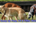 Scoop Up Poop - Orange County Pooper Scooper - Orange, CA