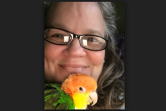 Request Quote: Avian Rescue and Respite - Bird Boarding and Sitting - Somersworth, NH