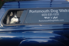 Request Quote: Portsmouth Dog Walks  - Portsmouth, NH