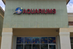 Request Quote: Neptunes Aquariums - Aquarium Maintenance and Cleaning  - Hialeah, FL