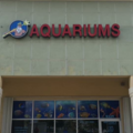 Neptunes Aquariums - Aquarium Maintenance and Cleaning  - Hialeah, FL