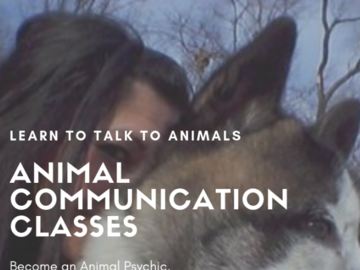 Animal Communication Classes
