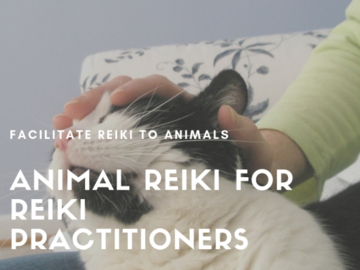 Animal Reiki for Reiki Practitioner Classes and Certification